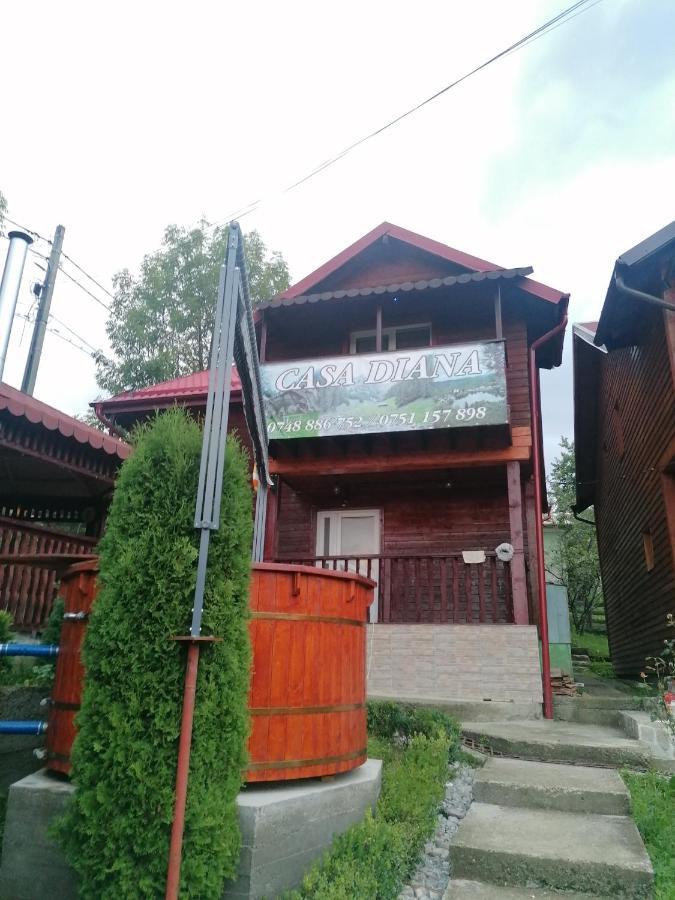Nucşoara Casa Diana 빌라 외부 사진